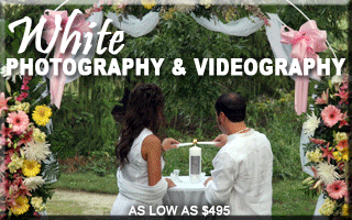 Find your dj, photographer, or videographer at WeDJ.com